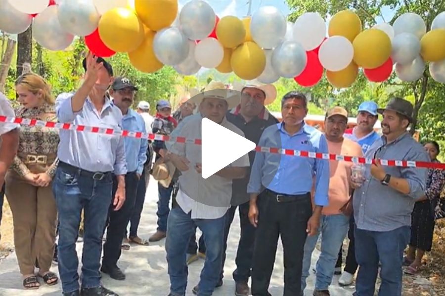 Ver video