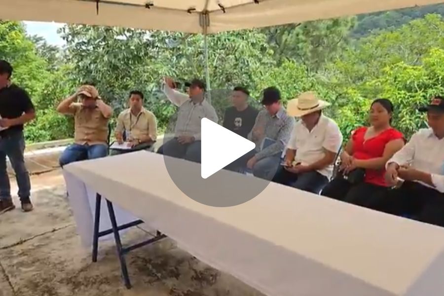 Ver video